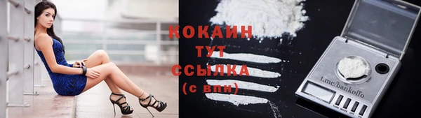 стафф Михайлов