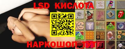 спиды Кингисепп