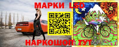 спиды Кингисепп