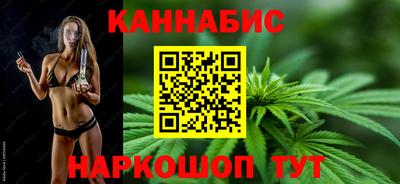 спиды Кингисепп