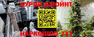 спиды Кингисепп