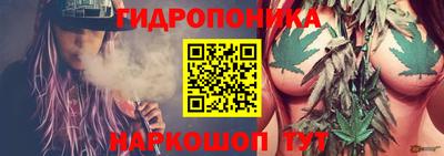 кокс Кимры