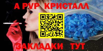 спиды Кингисепп
