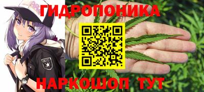 спиды Кингисепп