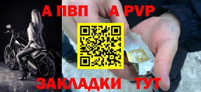 спиды Кингисепп