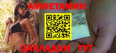 спиды Кингисепп
