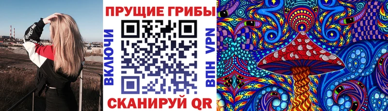 Галлюциногенные грибы мицелий  цены   Ревда 