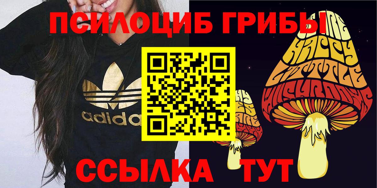 Псилоцибиновые грибы ЛСД  Вход с VPN  Ревда 