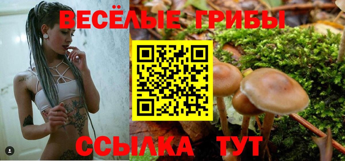 Галлюциногенные грибы Magic Shrooms Ревда